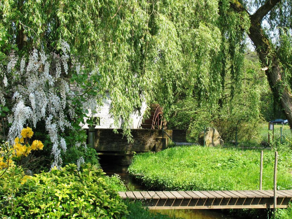 Vakantieverblijf Volmolen B&B Maaseik Ngoại thất bức ảnh