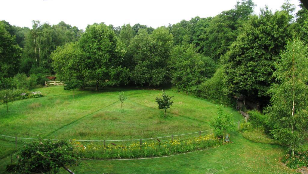 Vakantieverblijf Volmolen B&B Maaseik Ngoại thất bức ảnh