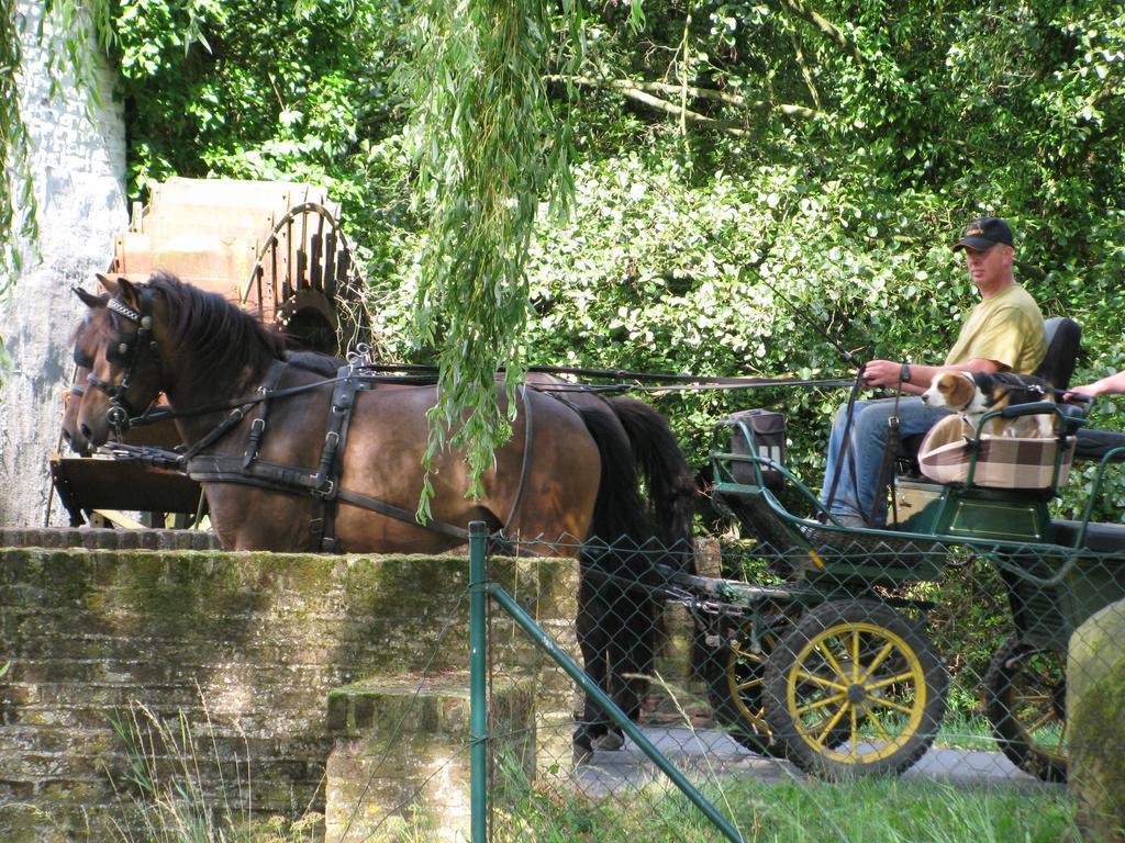 Vakantieverblijf Volmolen B&B Maaseik Ngoại thất bức ảnh